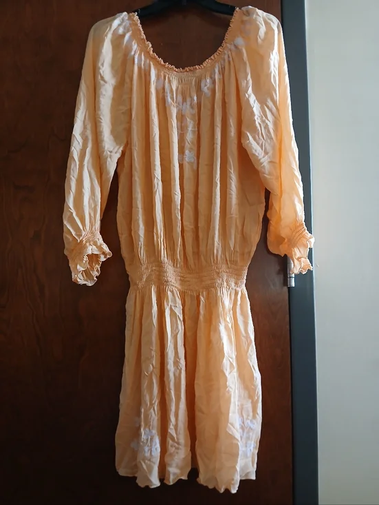 NWOT/ GAYA peach embroidered semi-sheer mini dress - Picture 9 of 9